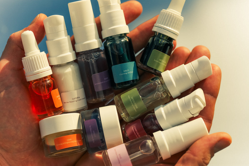 Meet the Minis