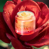 Coco Whip - Spiced rose